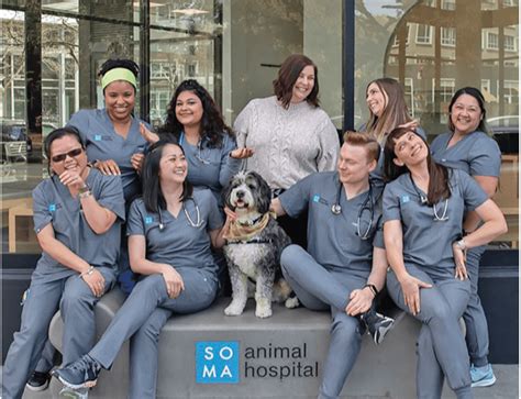 soma pet hospital